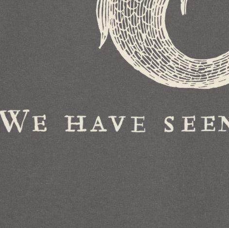 We Have Seen Worse T-Shirt – Overcast
